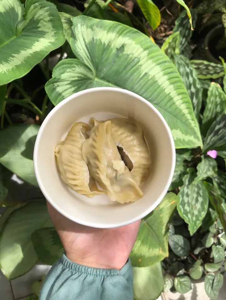 Gyoza